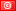 IP Address Lookup